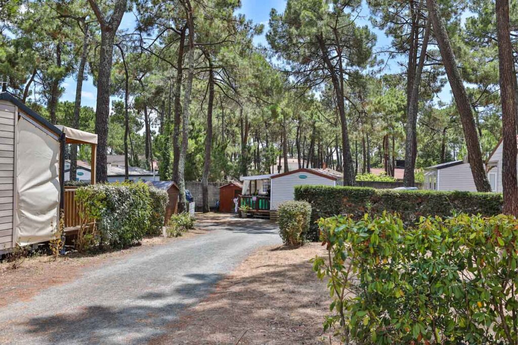 camping nature avec accès direct plage à La Tranche sur Mer