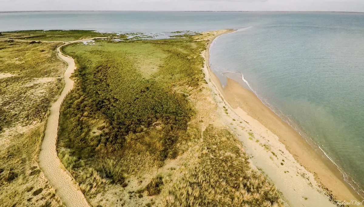 Vue aérienne des dunes et de la plage naturelle de La Tranche-sur-Mer