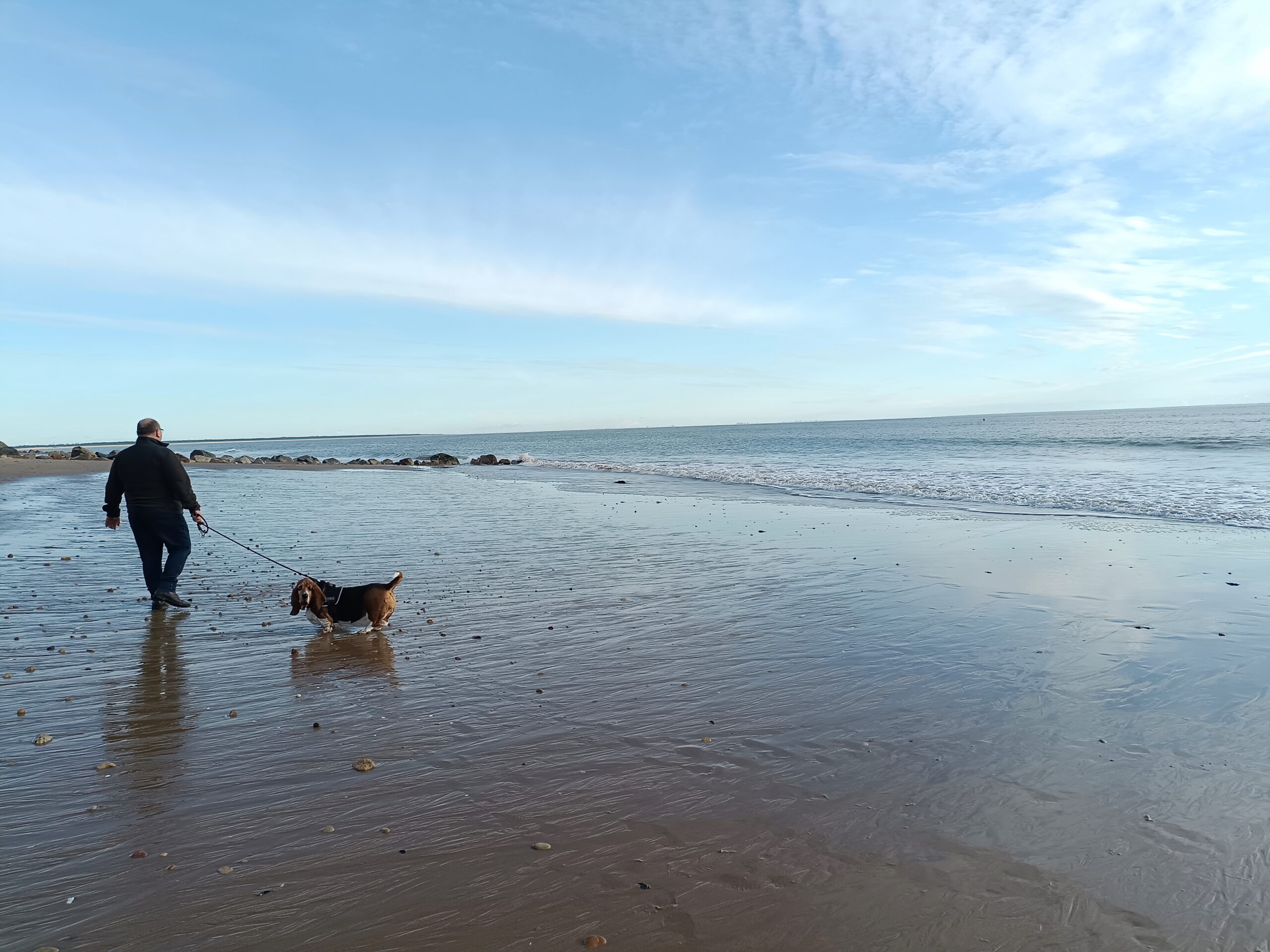 camping acceptant les chiens la tranche sur mer