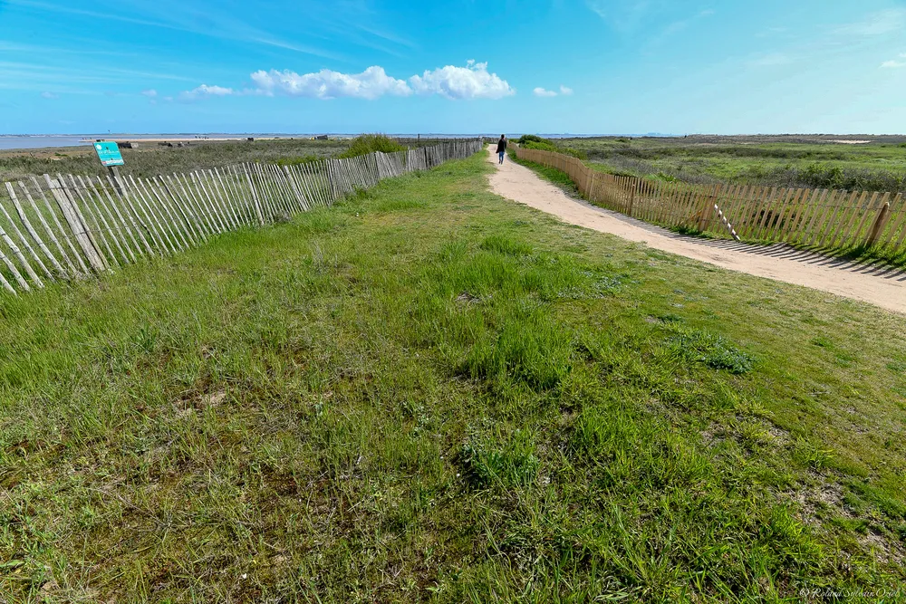 chemin point d'arcay