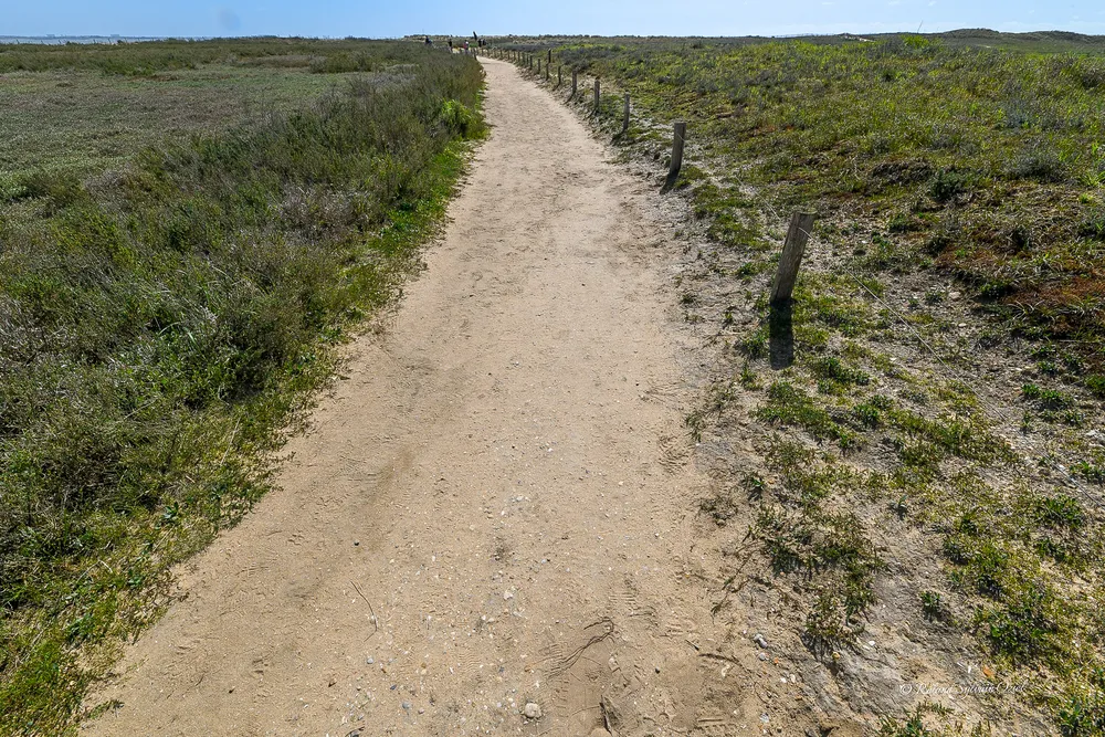 chemin sablonneux autour camping les préveils
