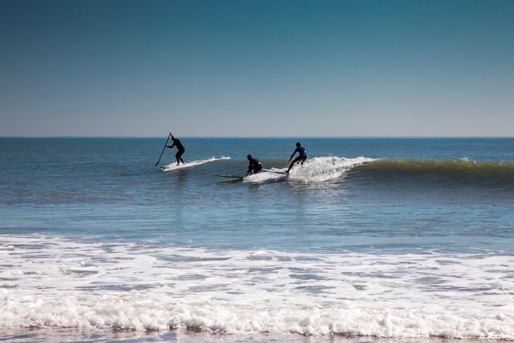 Surf à la tranche sur mer