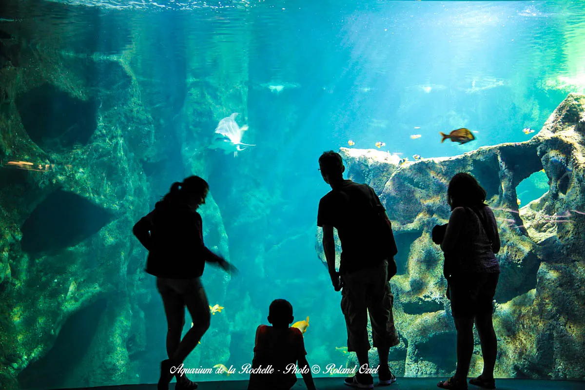 petit passage à l'aquarium de la Rochelle pendant ses vacances au camping les préveils