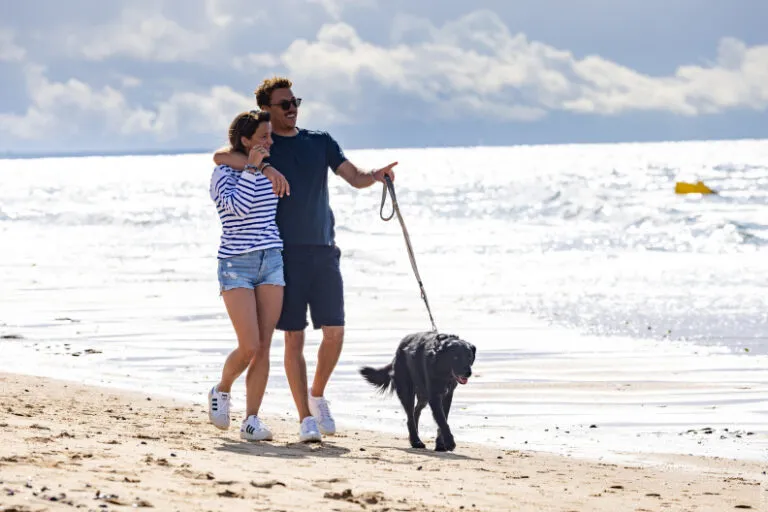 Dog-friendly beach in Vendée, La Tranche-sur-Mer